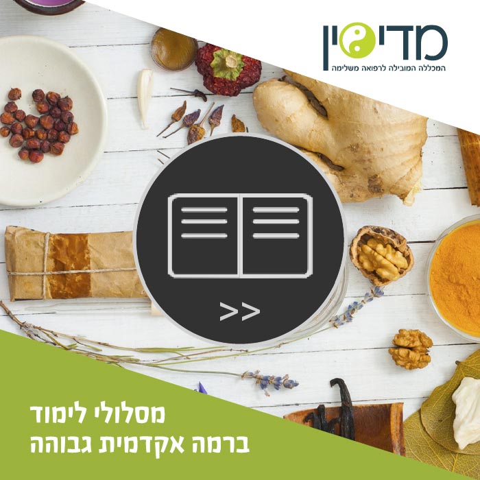חוברת-דיגיטלית-תדמית1-שער